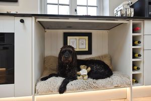 Photo 17- click for photo gallery